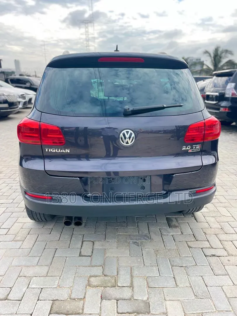 Volkswagen Tiguan 2016 Gray