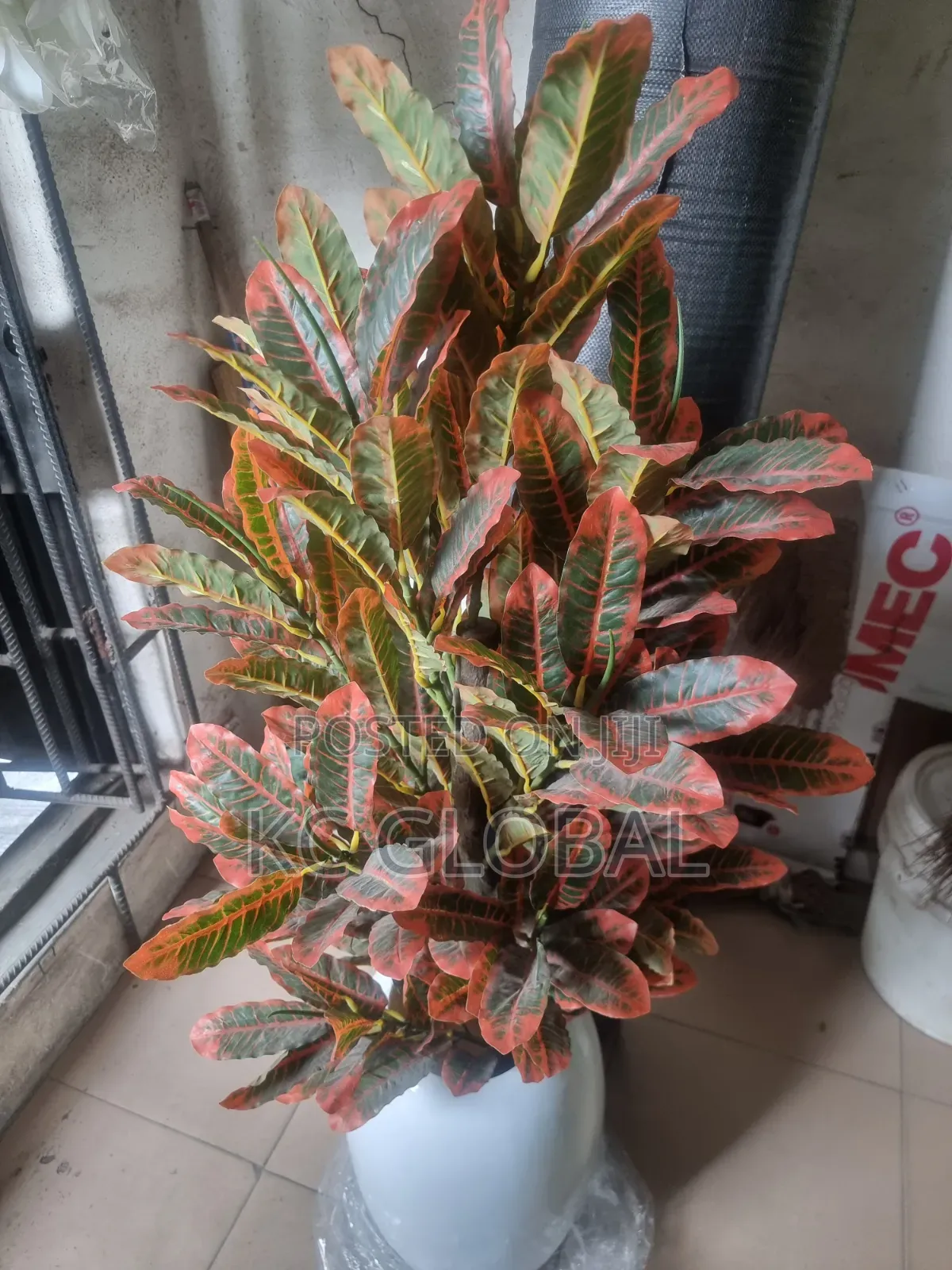 Outdoor and Indoor Flower and Vase Available
