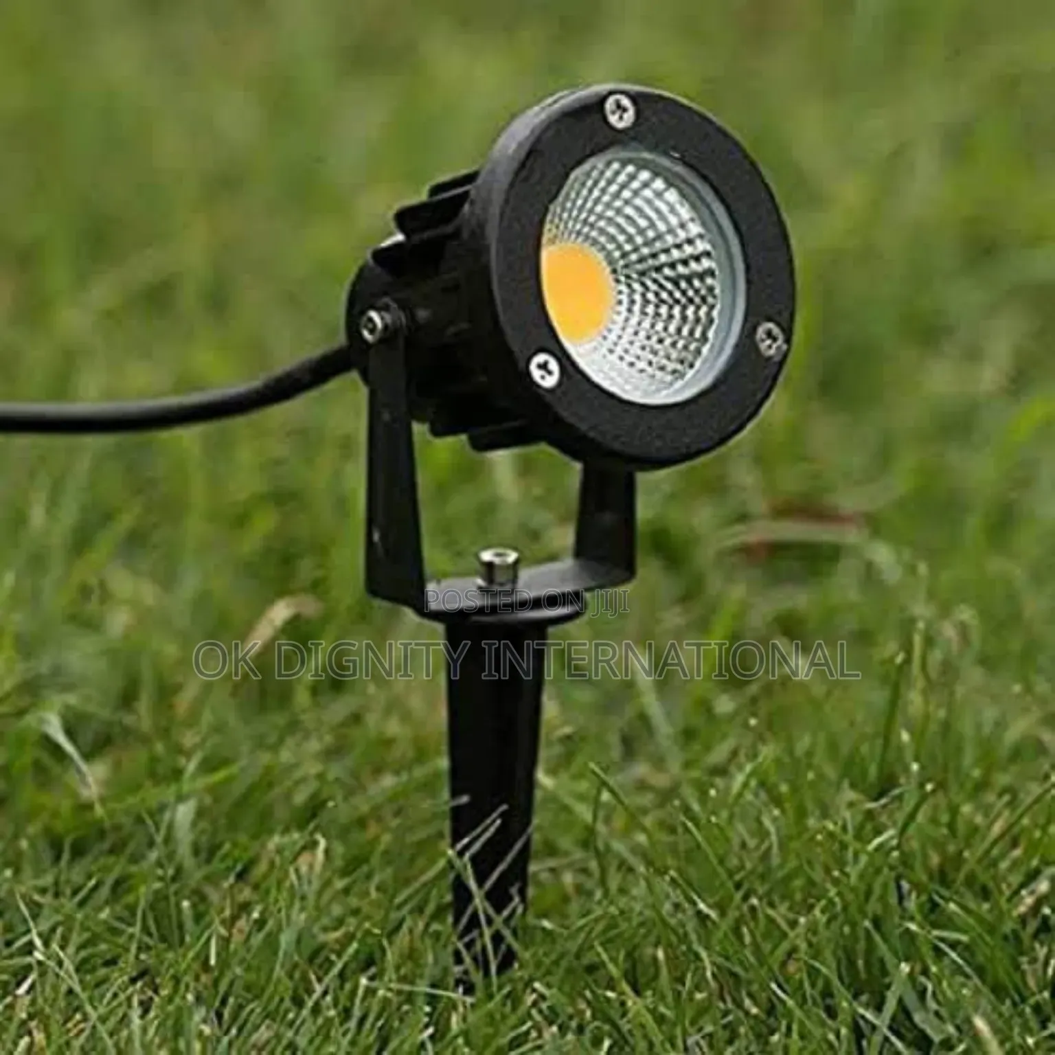 LED Garden Spike Light | Outdoor Lawn Landscape Light