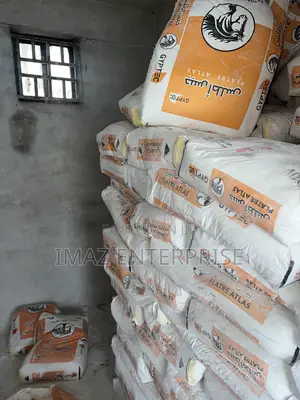 Platre Atlas Cement