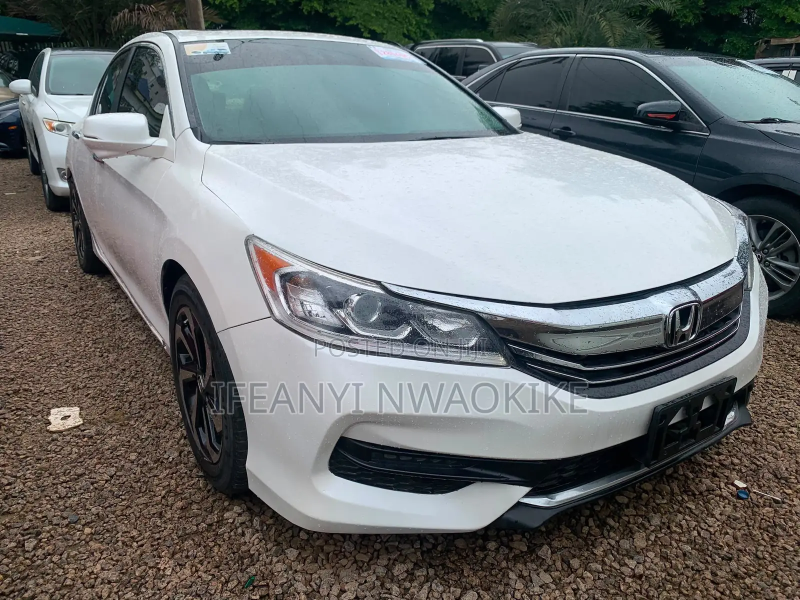 Honda Accord EX-L 4dr Sedan FWD (2.4L 4cyl 2A) 2016 Gold