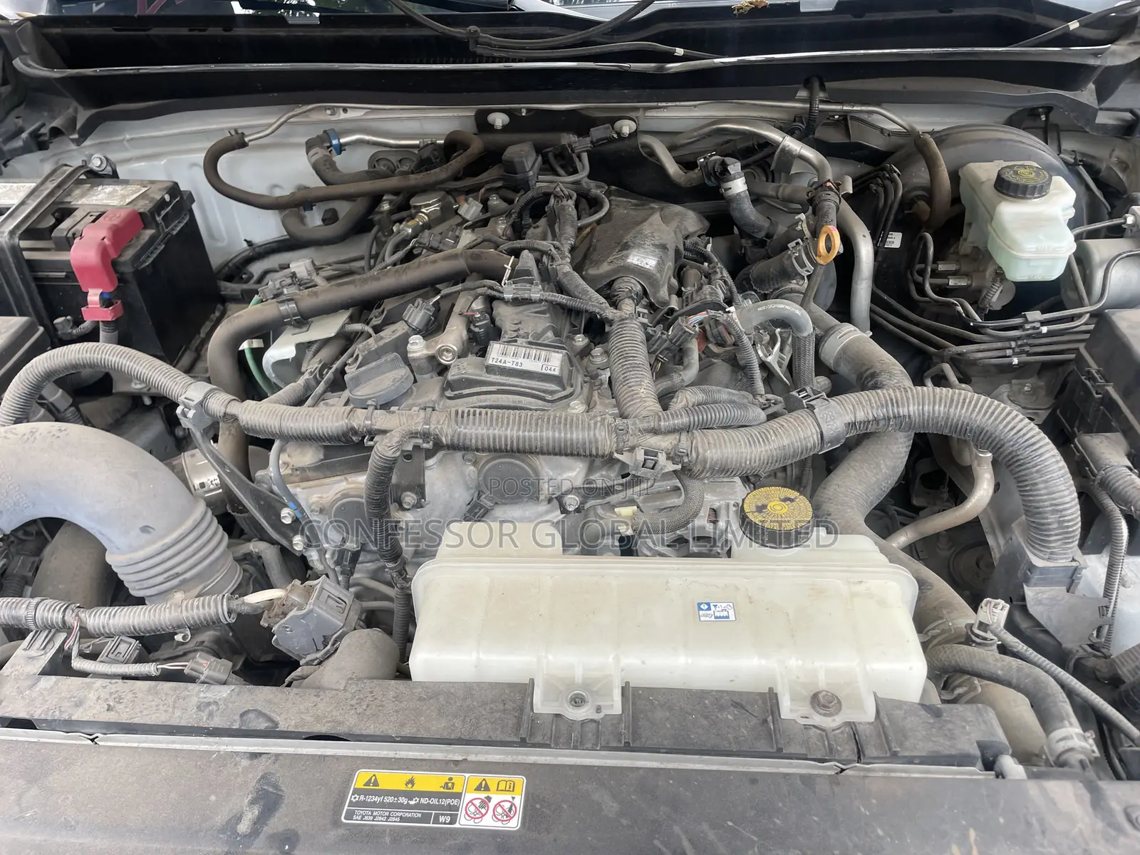 Toyota Tacoma 2024 White