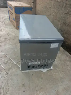 Skyrun BD-300HNW Storage-Focused Chest Freezer for Families