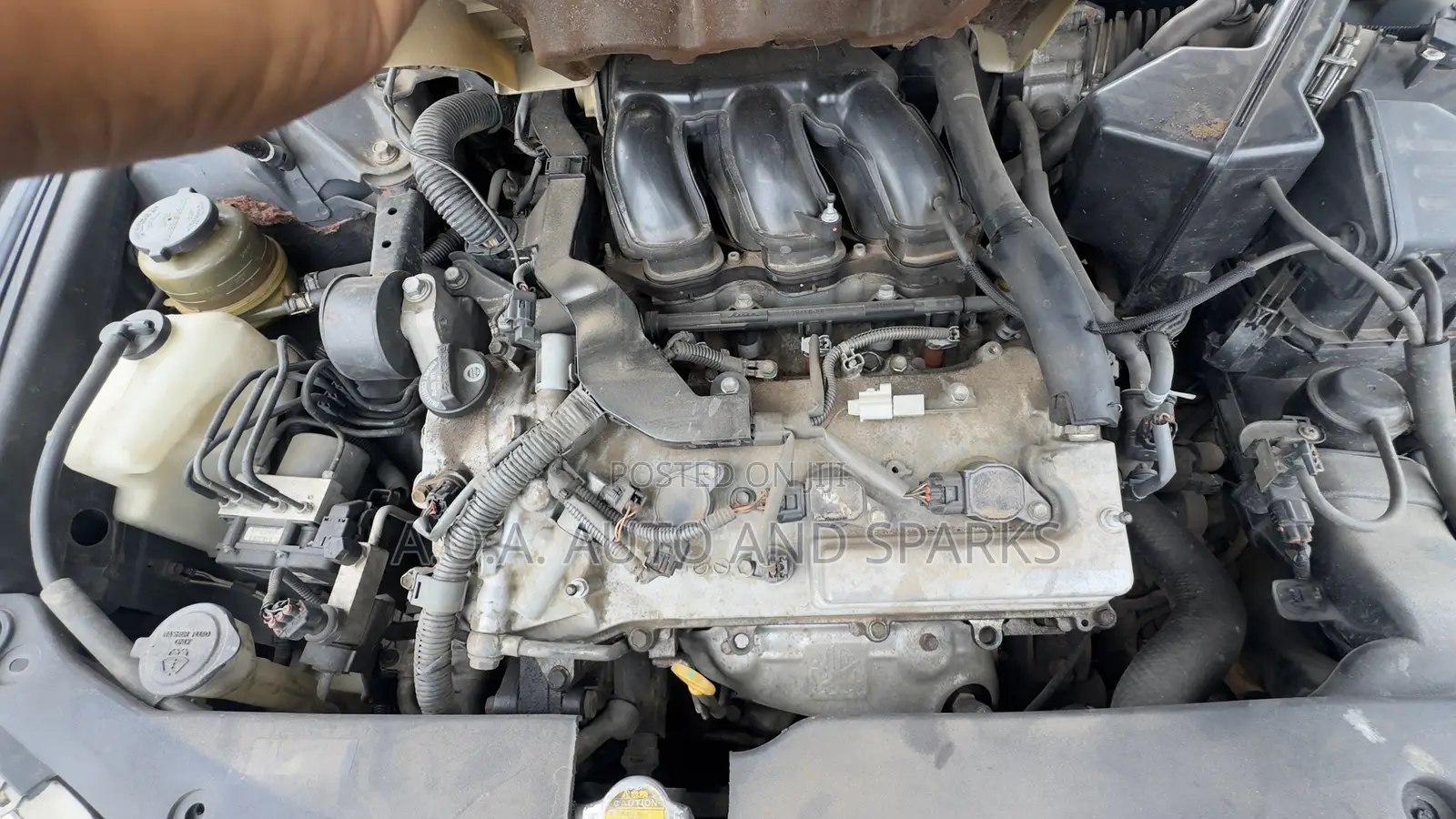 Toyota Camry XLE V6 4dr Sedan (3.5L 6cyl 6AM) 2008 Gray