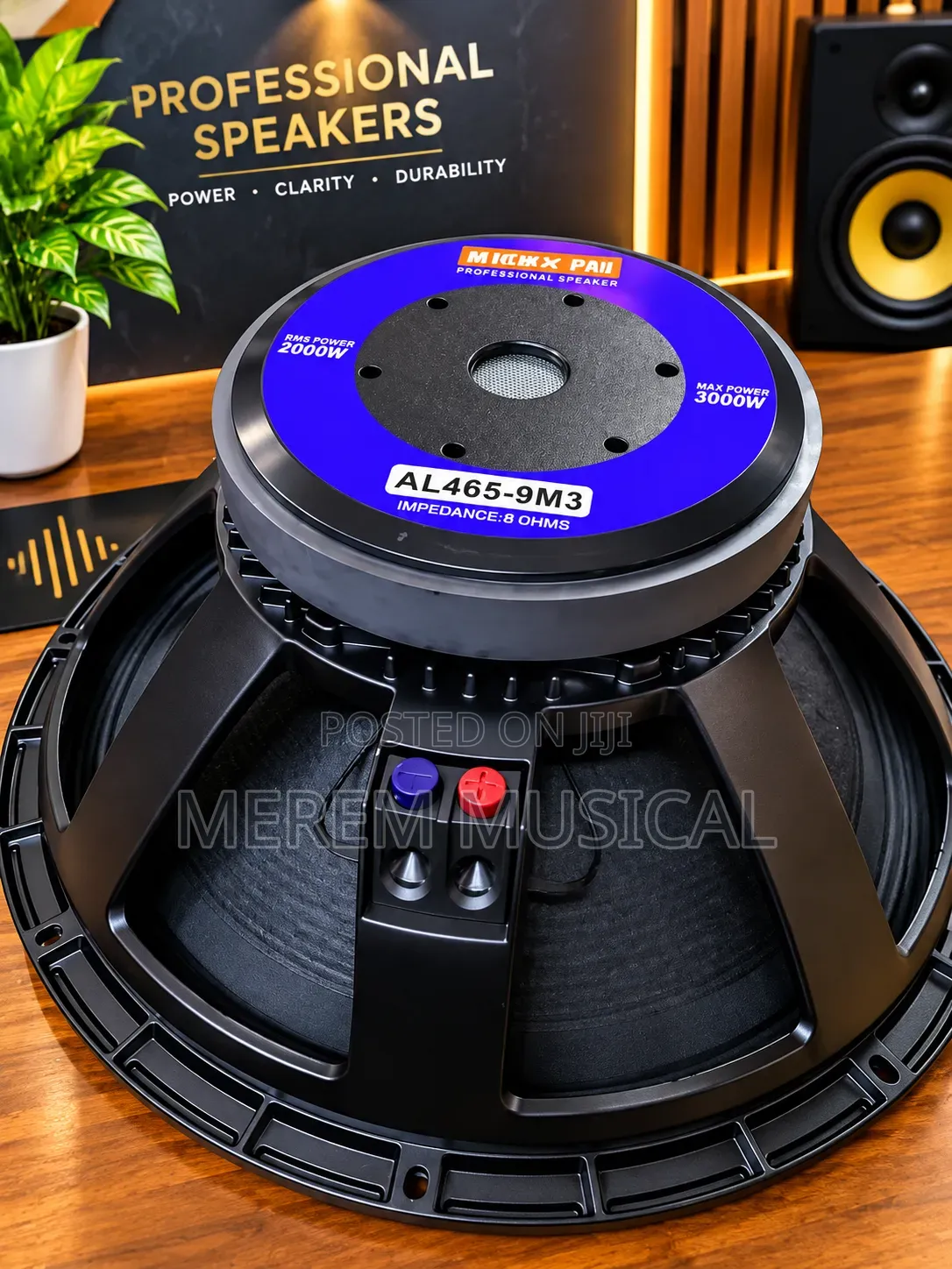 18" Naked Speaker