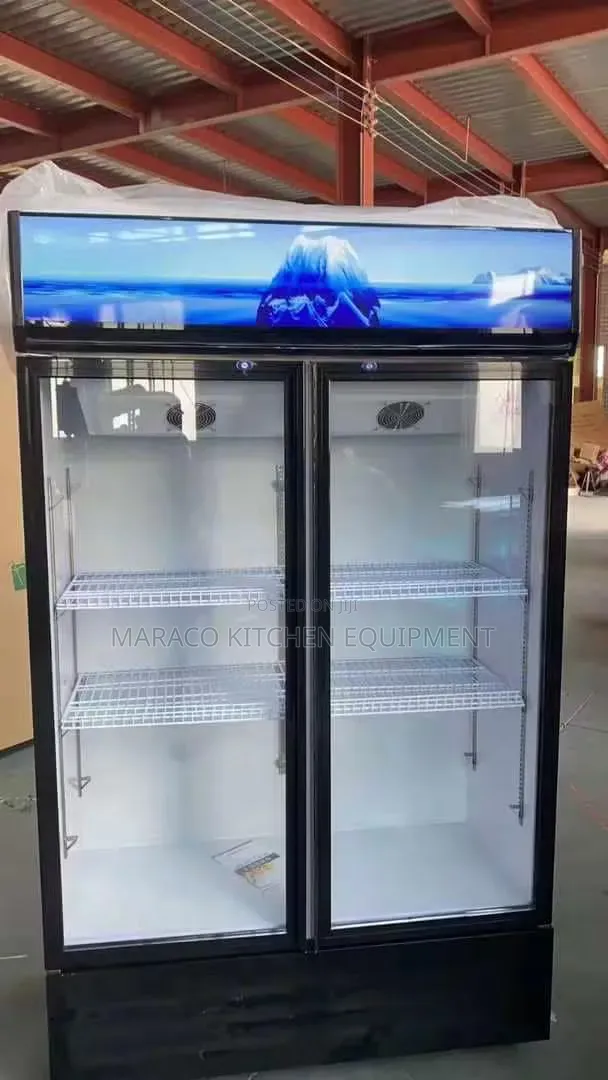 Double Door Freezer