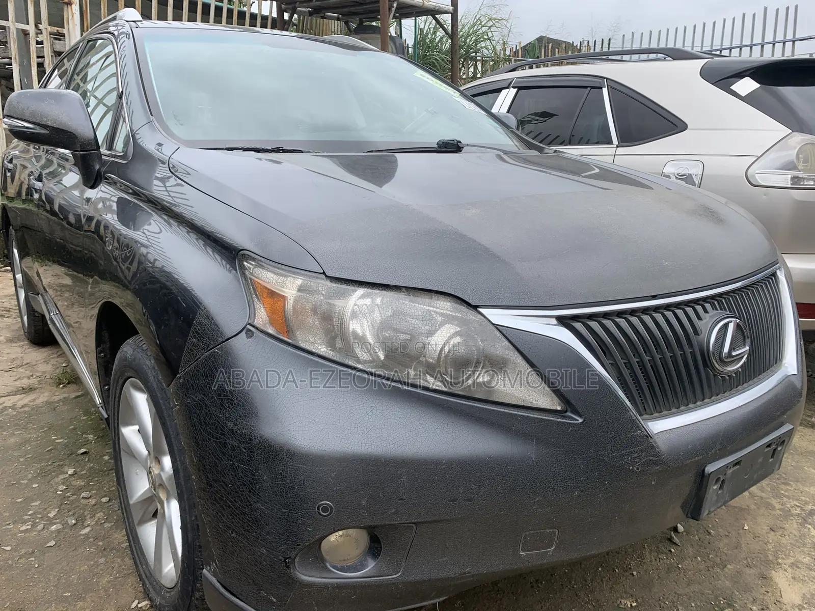 Lexus RX 350 2010 Gray