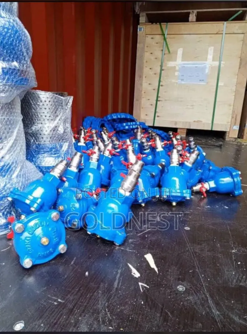 DN25 Ductile Iron Automatic Air Release Valve – 1 Inch Size