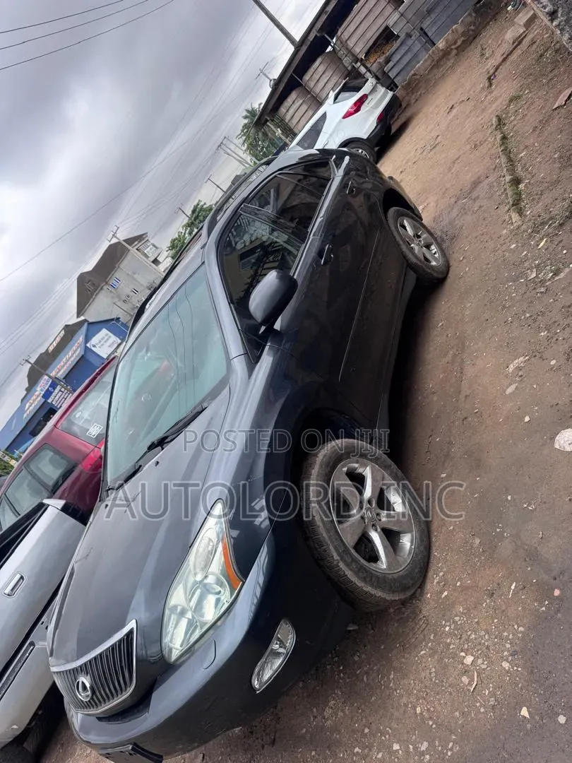 Lexus RX 330 2005 Gray