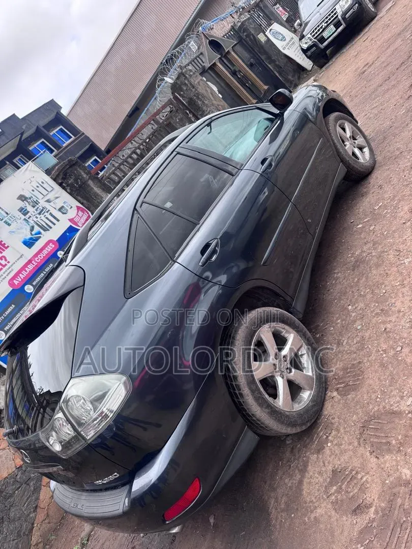 Lexus RX 330 2005 Gray
