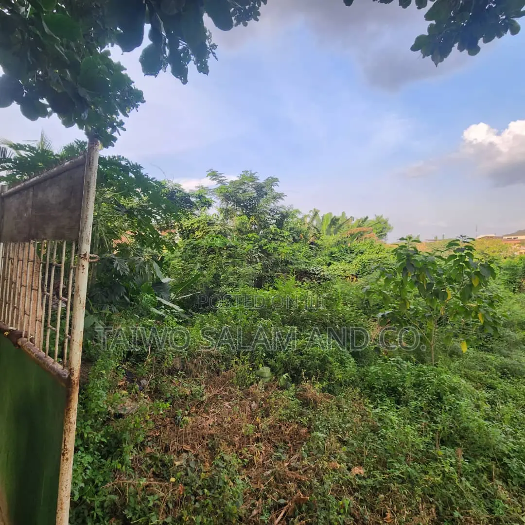 A Standard 5 Plots of Land