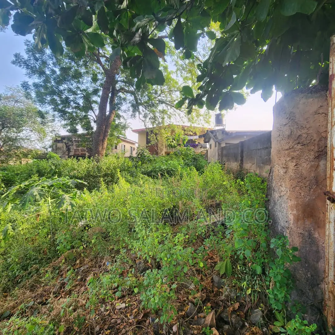 A Standard 5 Plots of Land