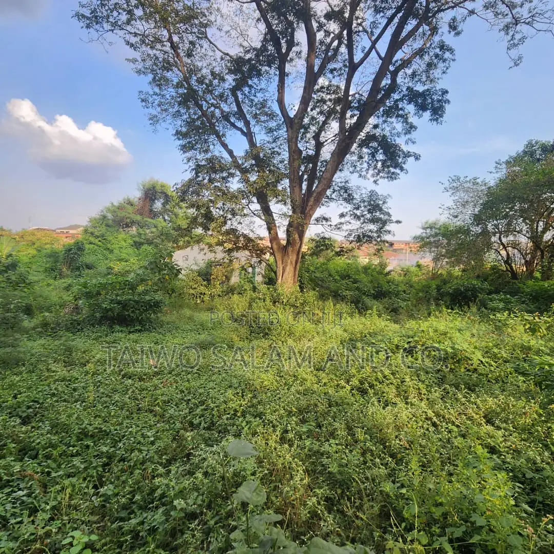 A Standard 5 Plots of Land