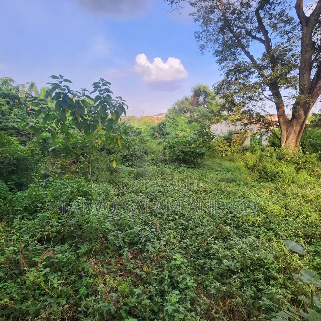 A Standard 5 Plots of Land