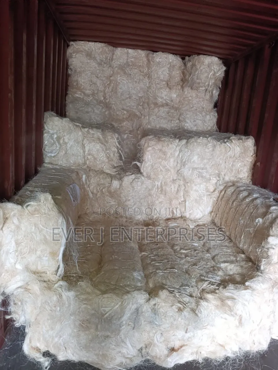 Ug Fillars / Sponge