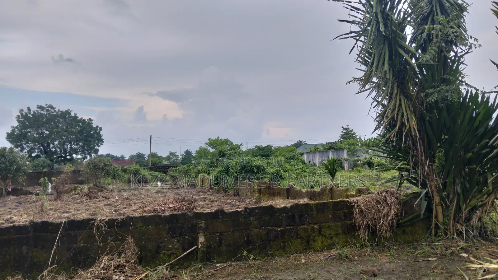 For Sale : 1 Plot at Omokiri , Aluu, Ph