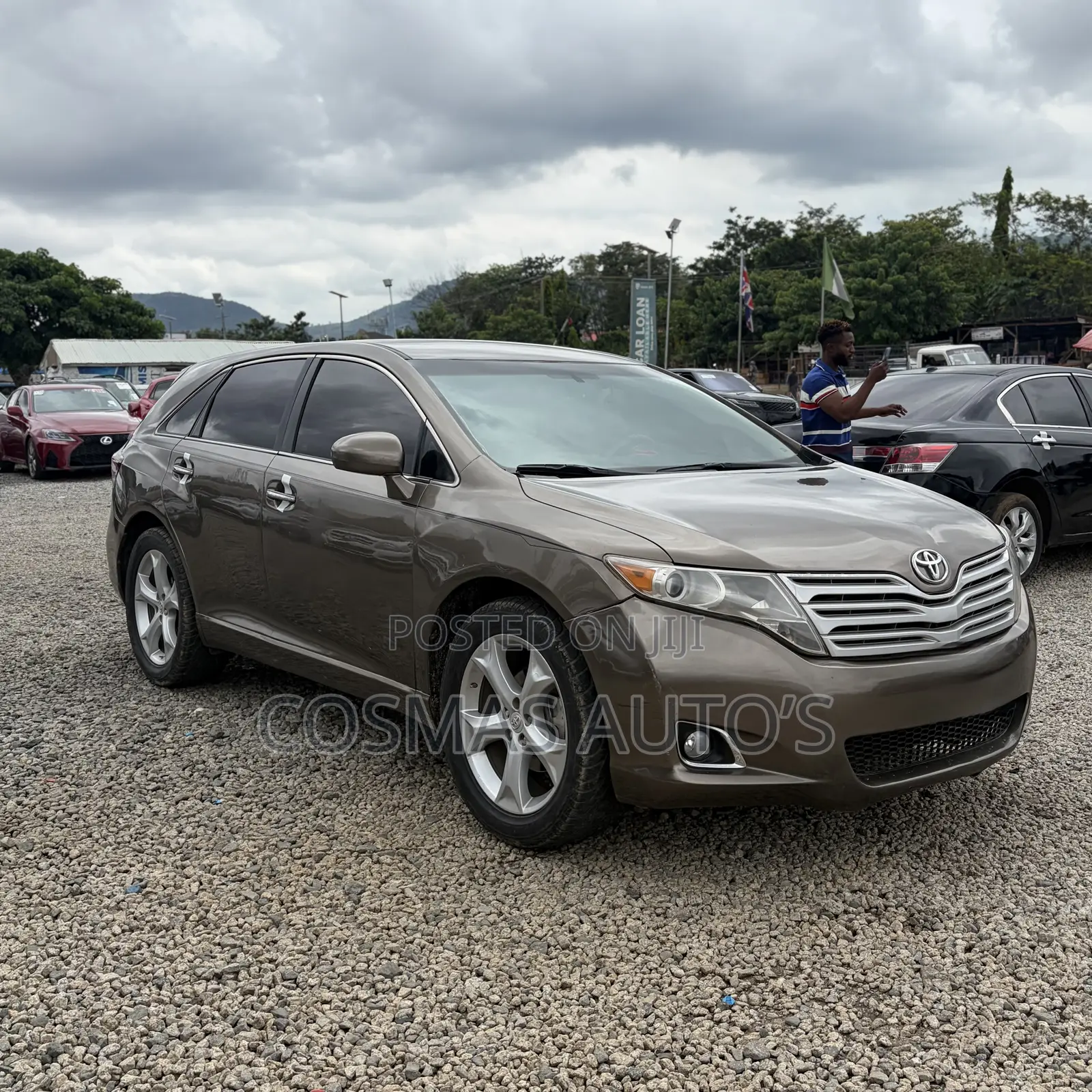 Toyota Venza Limited 2009 Gold