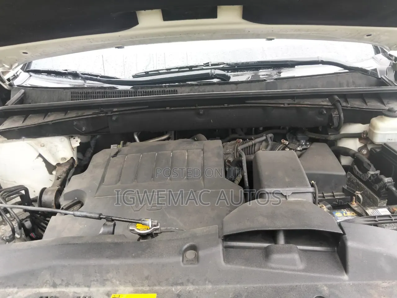 Toyota Highlander XLE 4dr SUV (3.5L 6cyl 6A) 2014 White