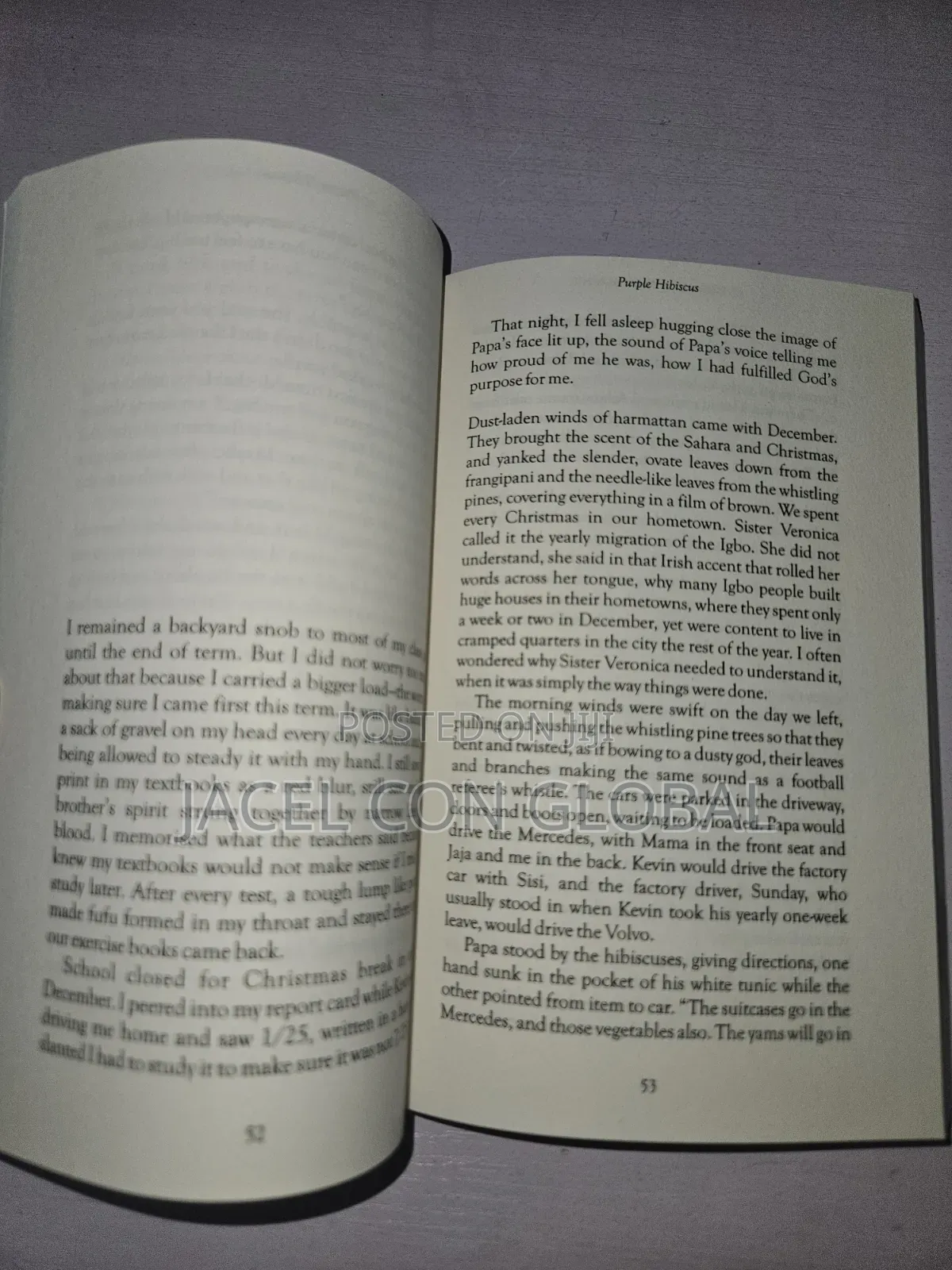 Purple Hibiscus Book