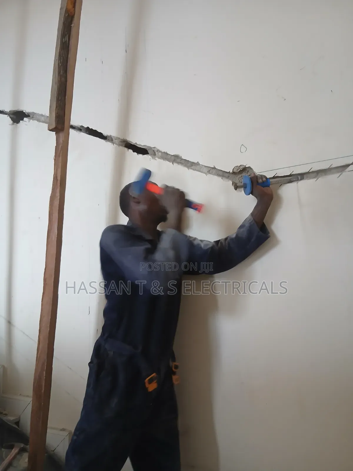 Professional Electrician