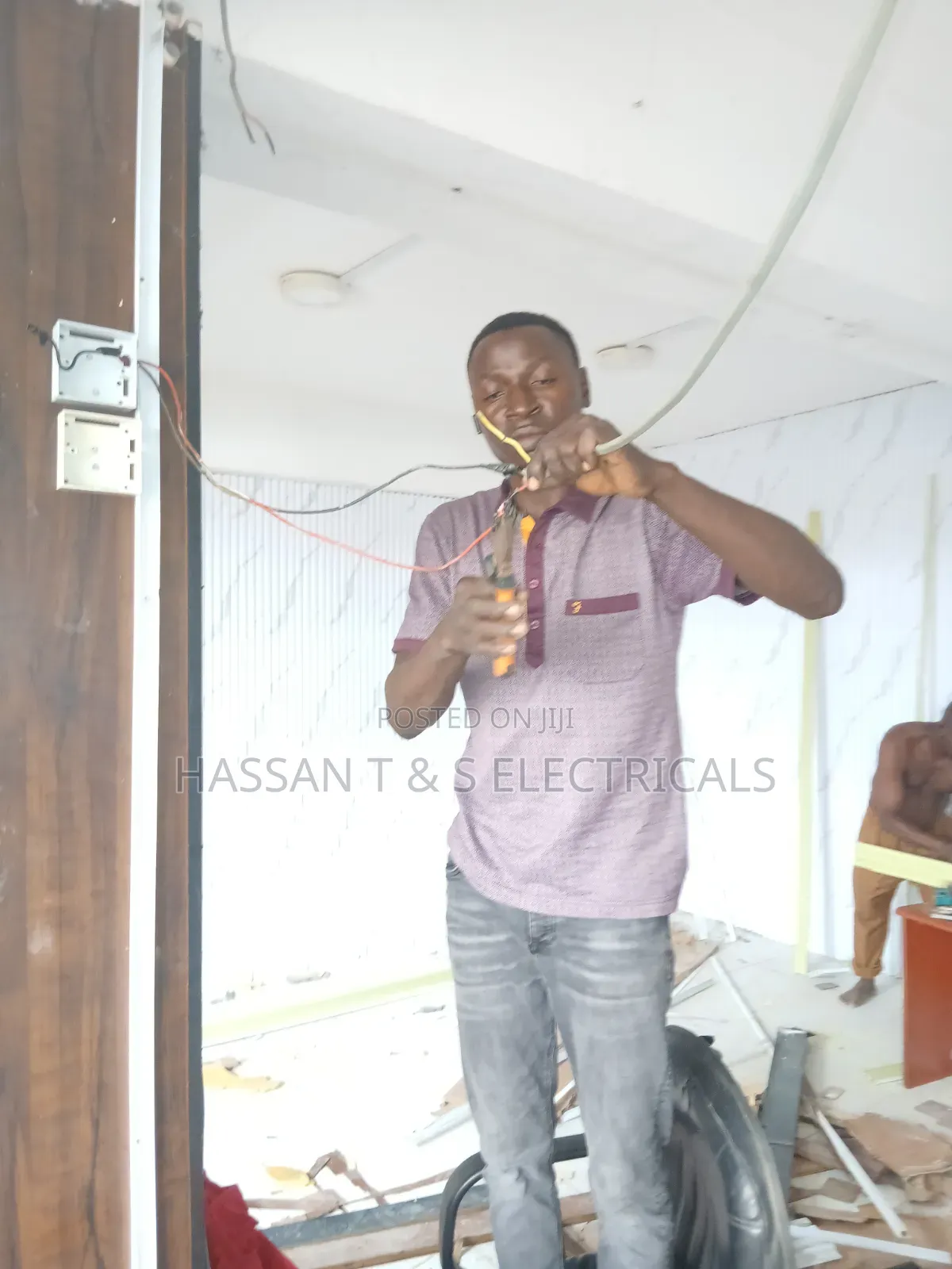 Professional Electrician