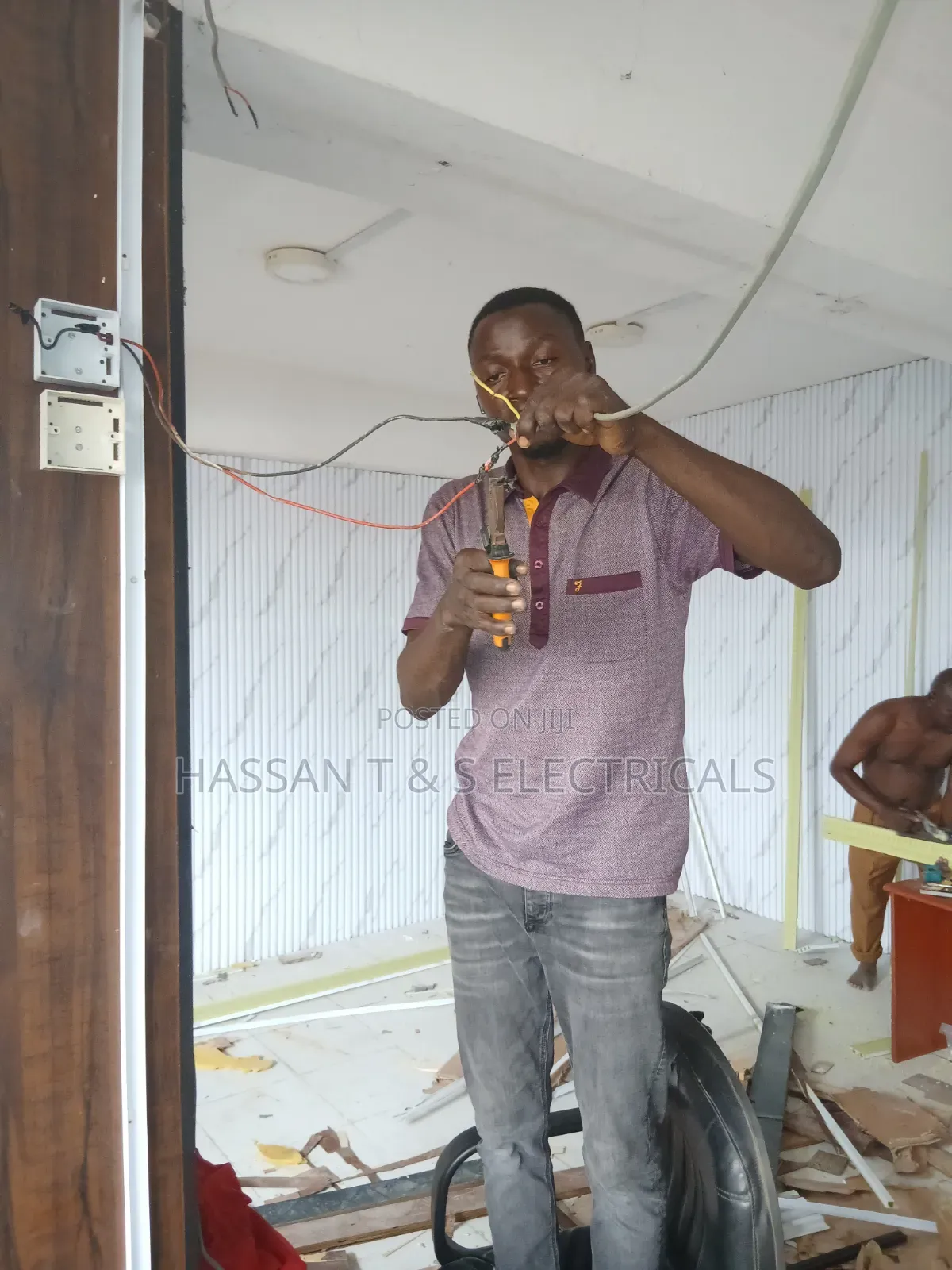 Professional Electrician