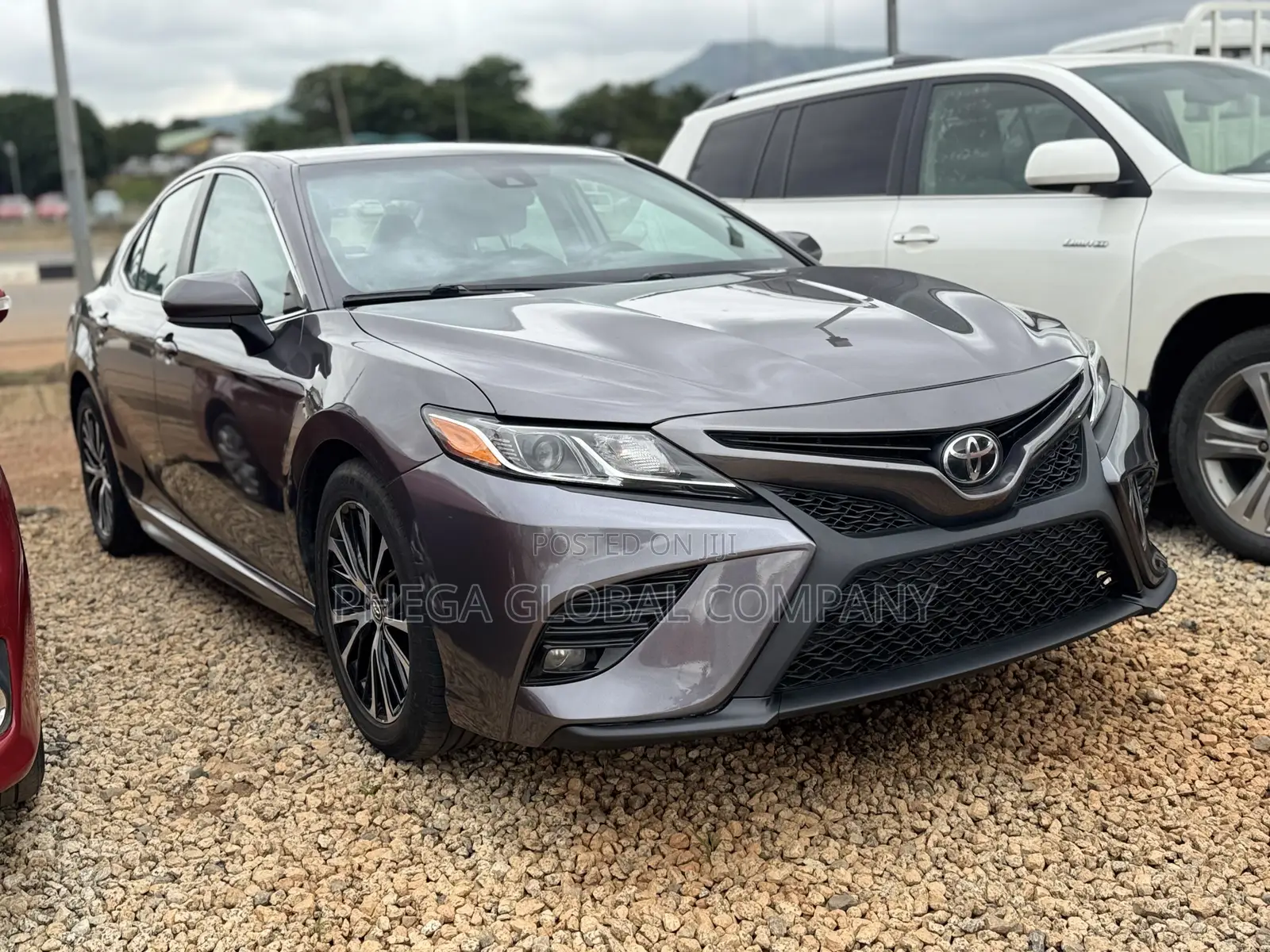 Toyota Camry SE (2.5L 4cyl 8A) 2019 Gray