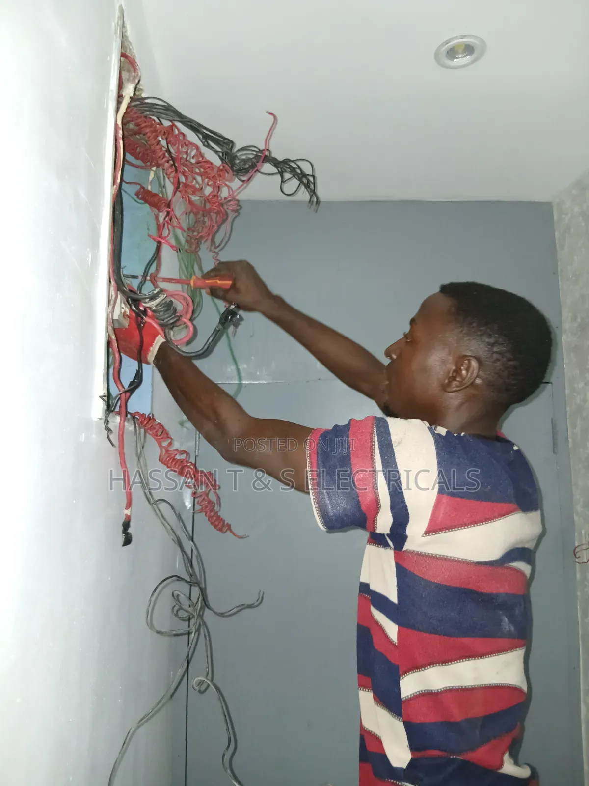 Professional Electrician
