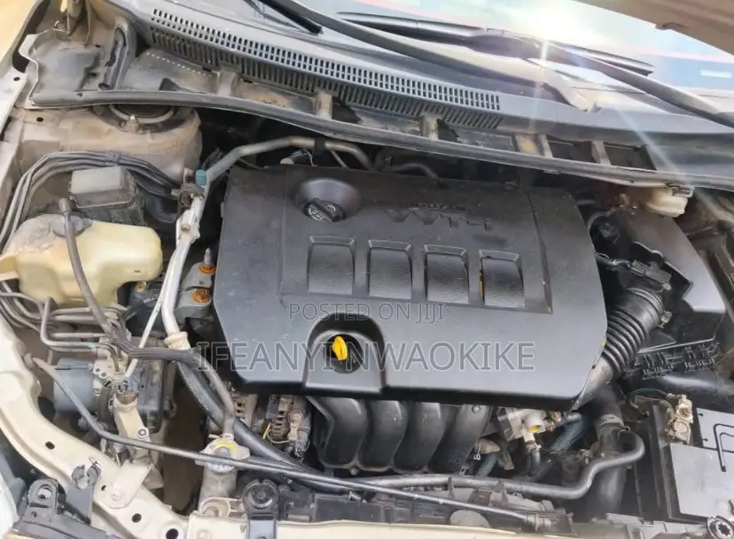 Toyota Corolla XLE 4dr Sedan (1.8L 4cyl 4A) 2009 Gold