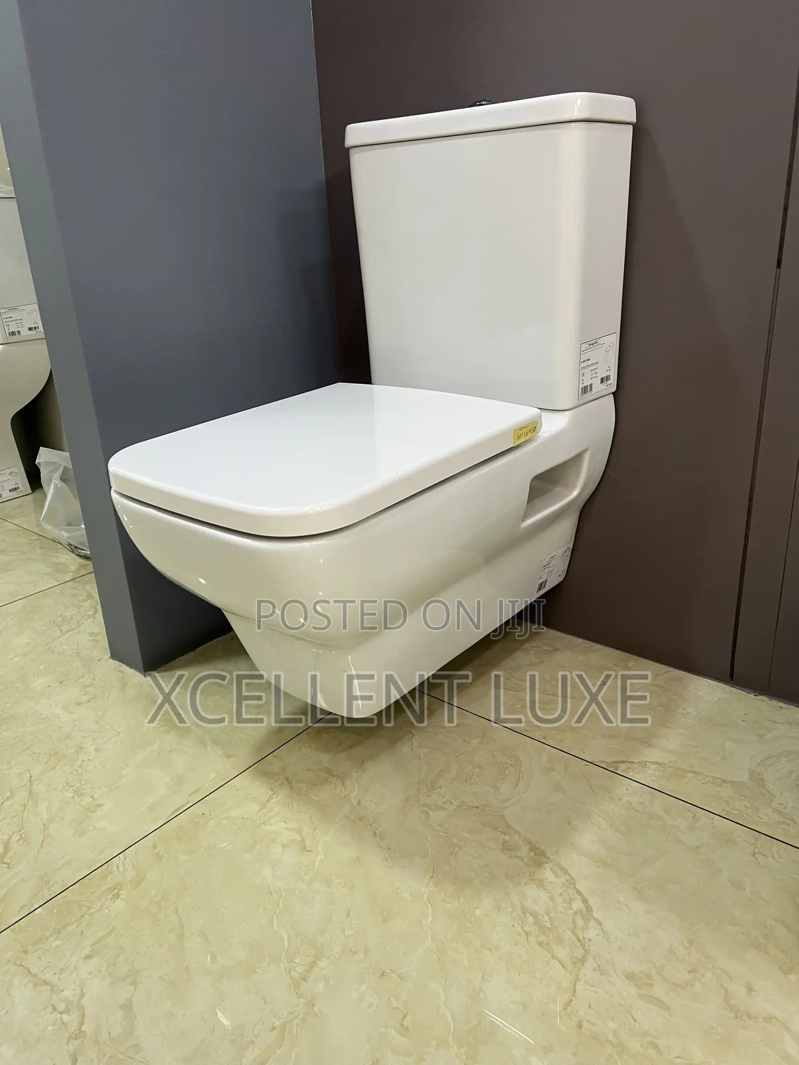 Hansgrohe Suspended/Wall Mounted Close Couple Wc Set. Made in Germany