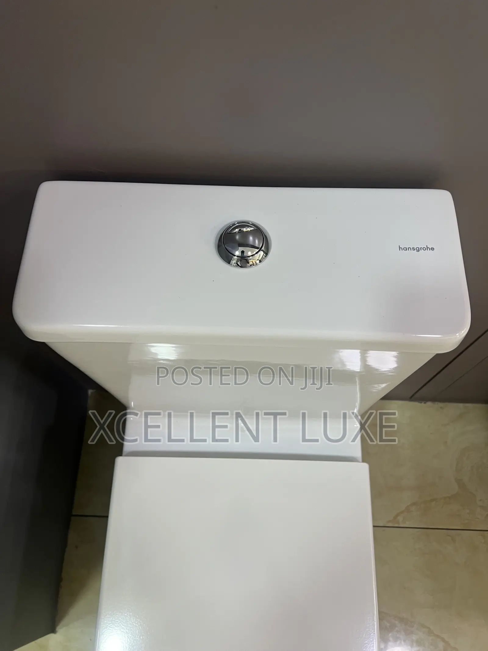 Hansgrohe Suspended/Wall Mounted Close Couple Wc Set. Made in Germany