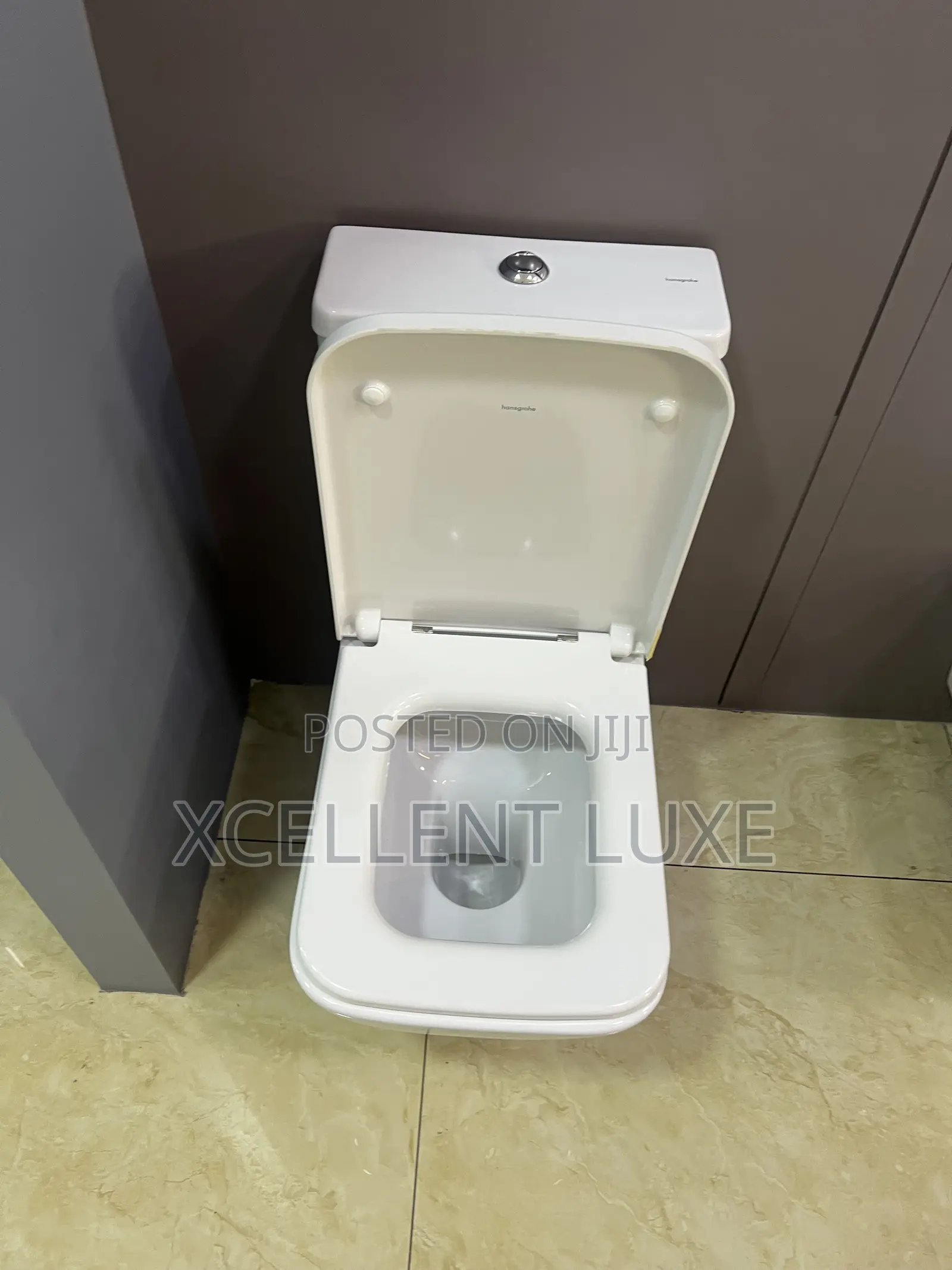 Hansgrohe Suspended/Wall Mounted Close Couple Wc Set. Made in Germany