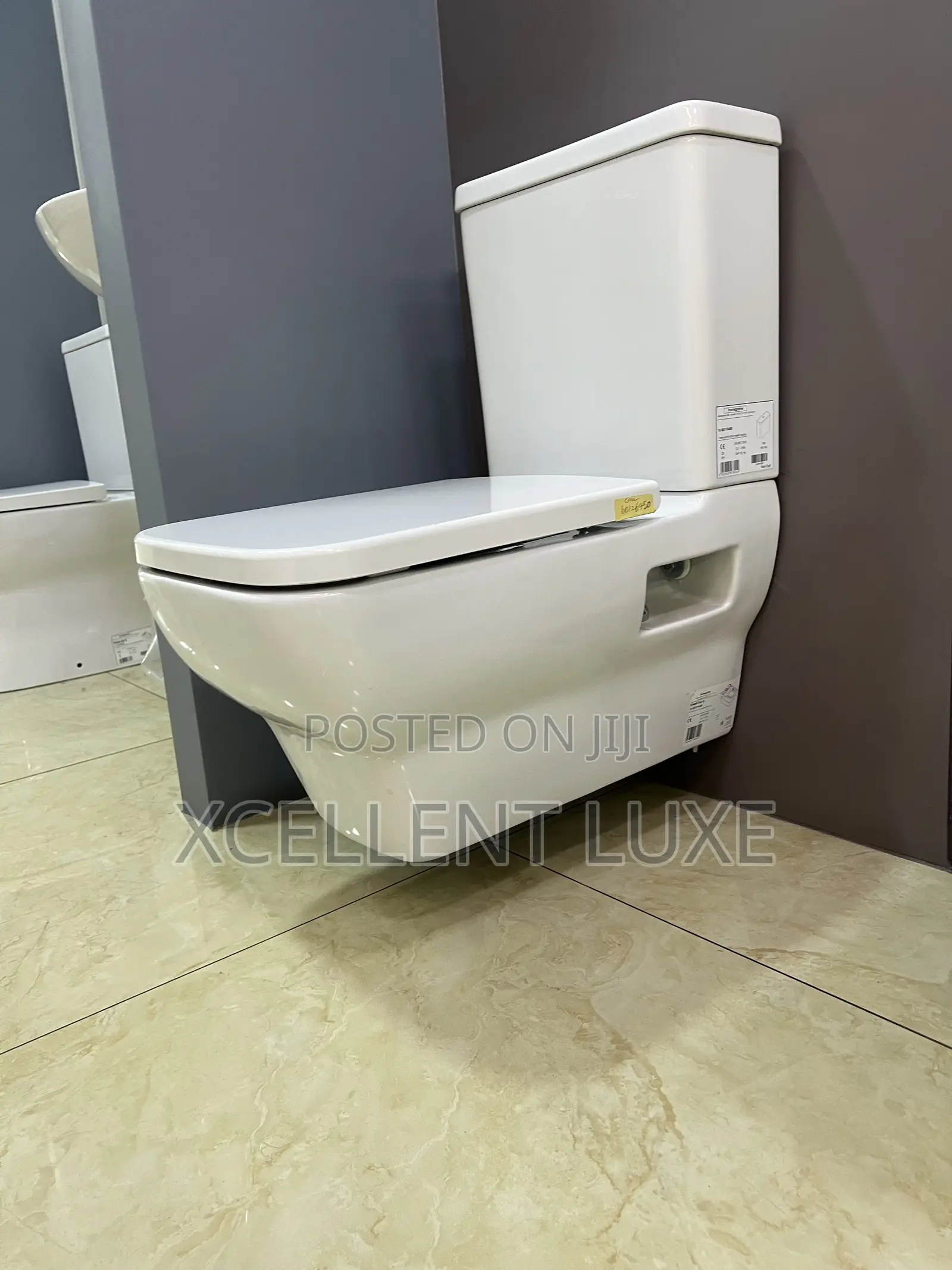 Hansgrohe Suspended/Wall Mounted Close Couple Wc Set. Made in Germany