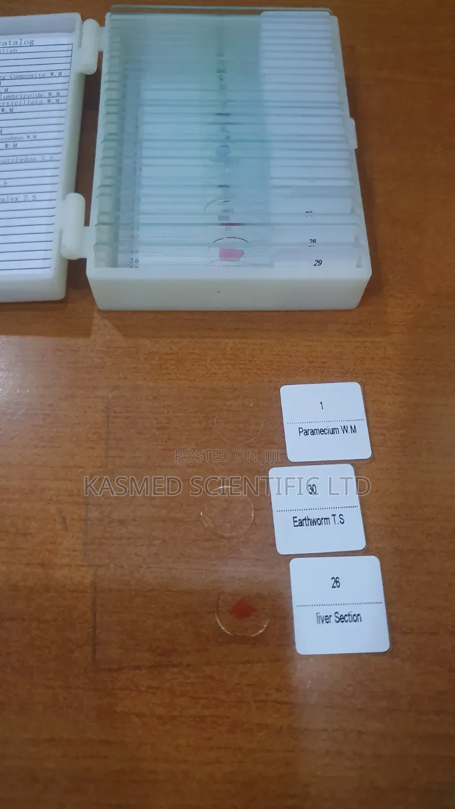 Prepared Slides for Medical Laboratory