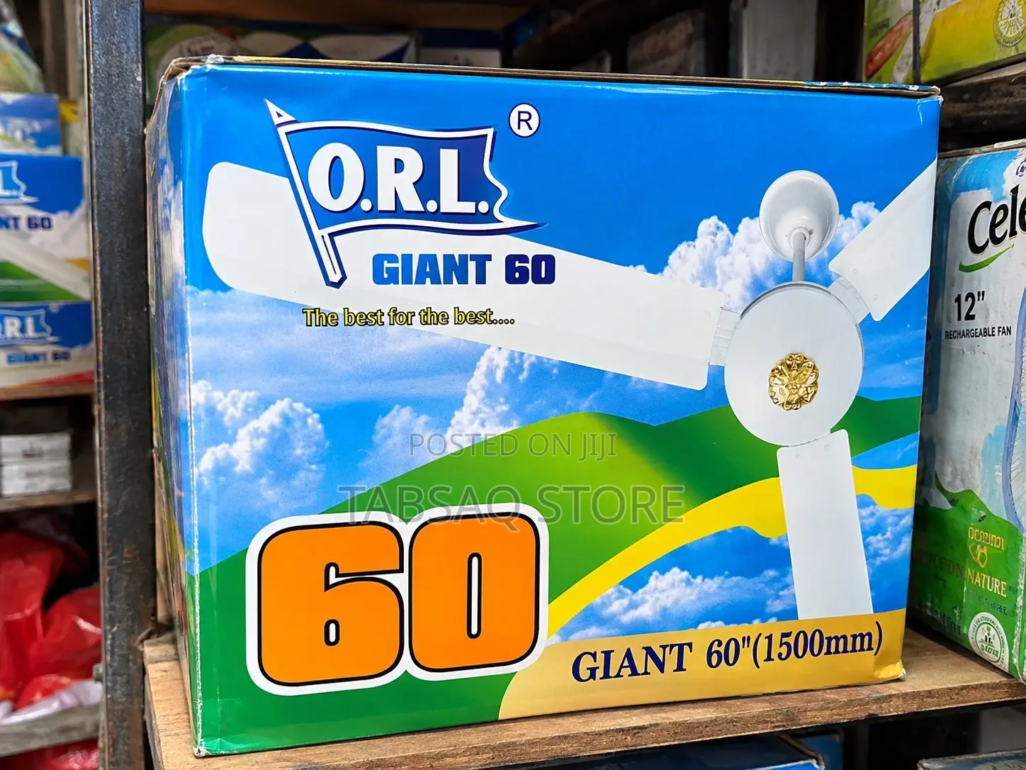 ORL 60 Inches Ceiling Fan | White | Giant 60