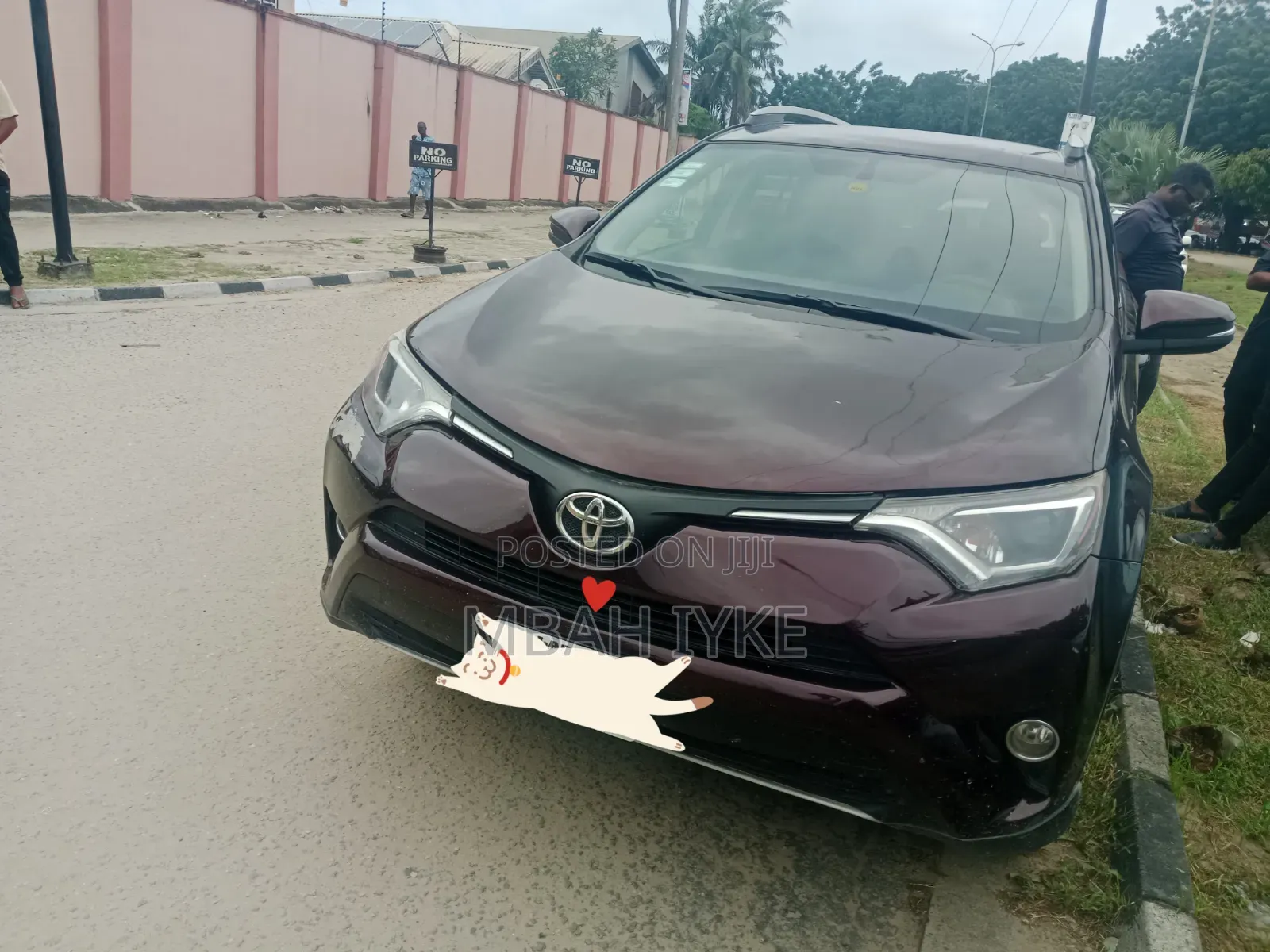 Toyota RAV4 LE FWD (2.5L 4cyl 6A) 2016 Brown