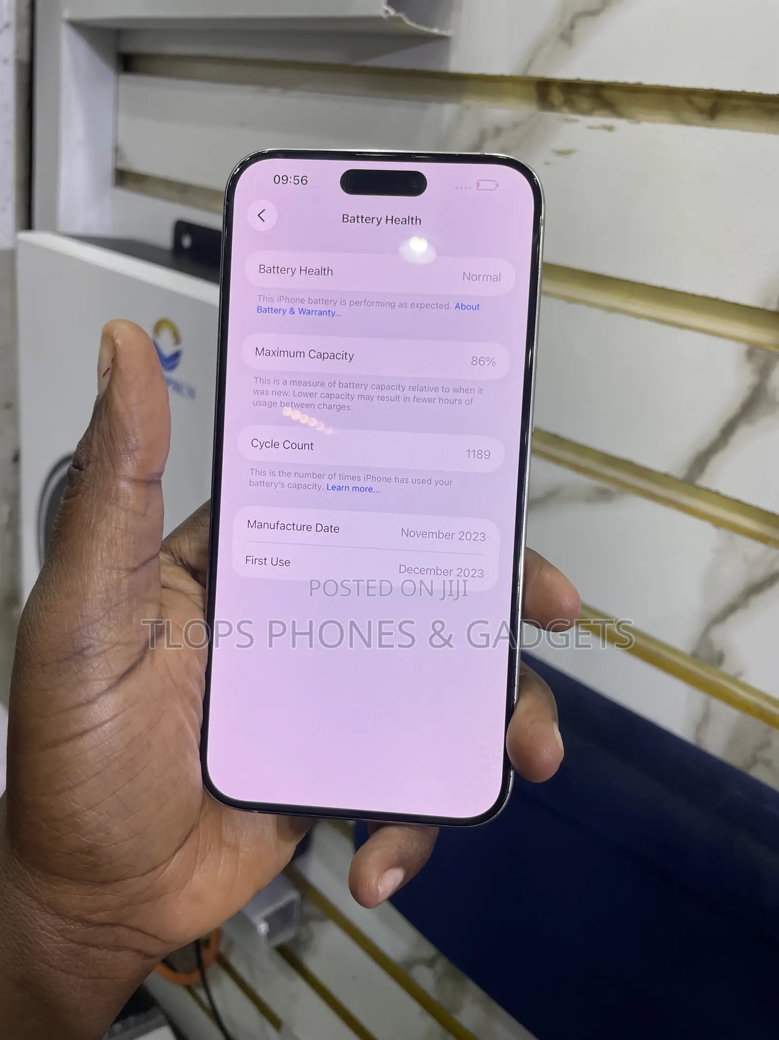 Apple iPhone 15 Pro Max 256 GB Gray