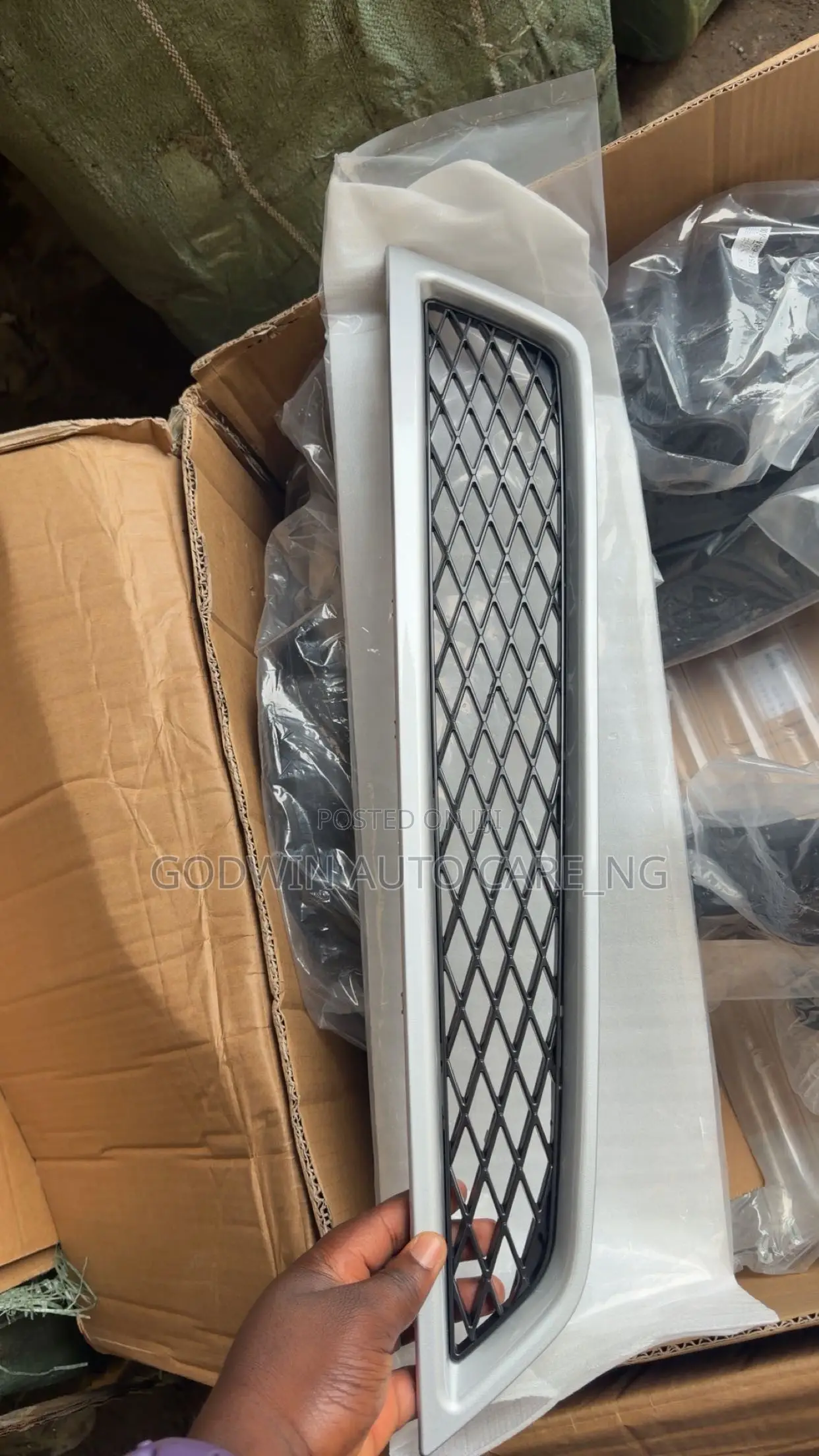Bumper Net 2012 Acura MDX