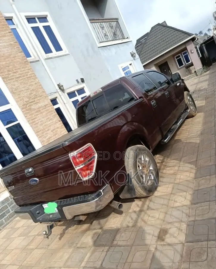 Ford F-150 2007 Brown