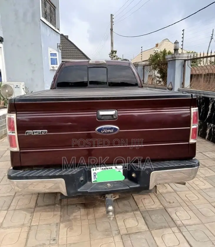 Ford F-150 2007 Brown
