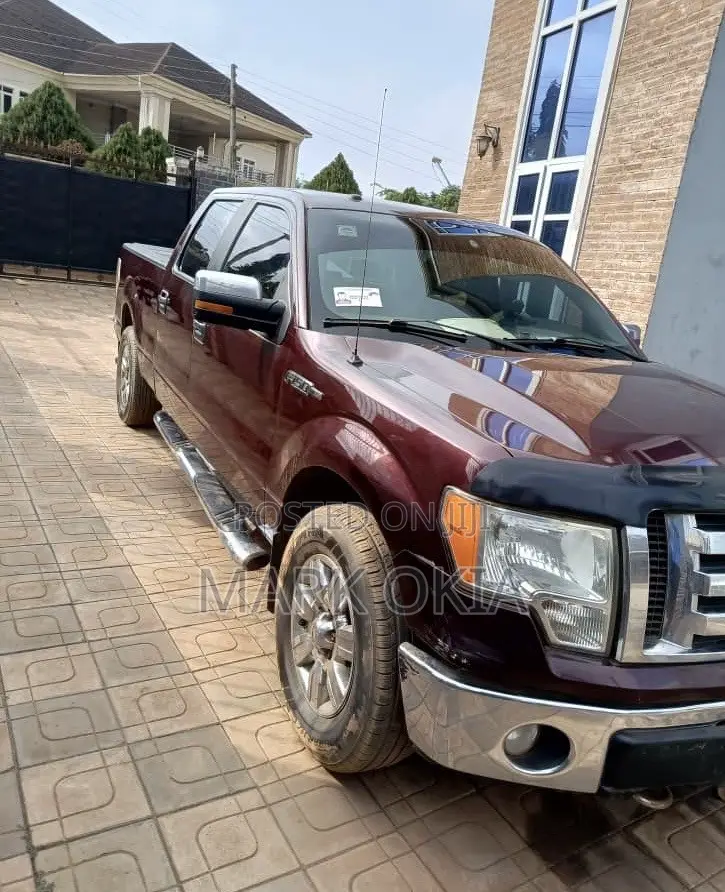 Ford F-150 2007 Brown