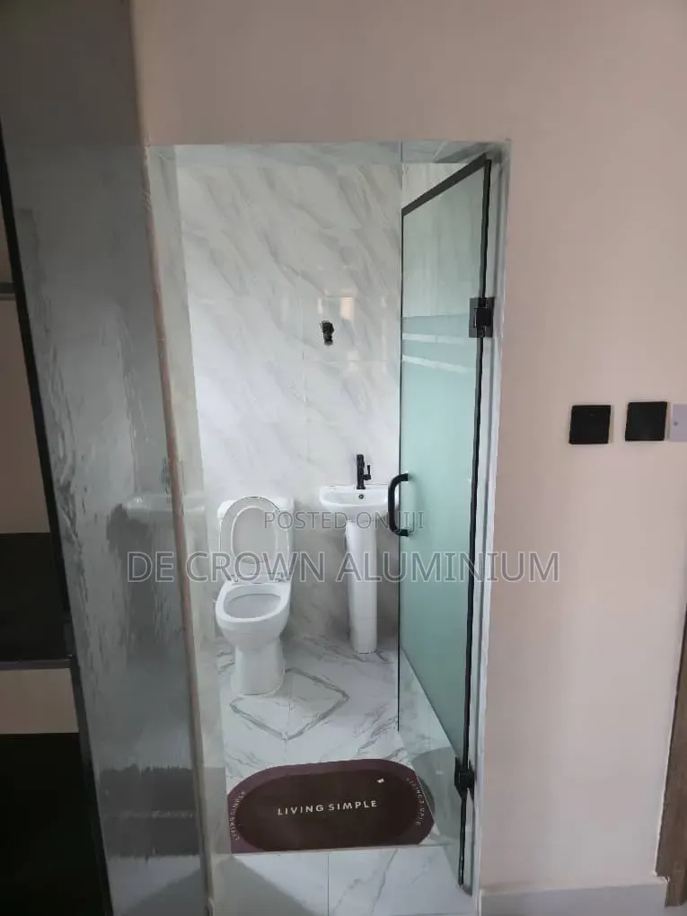 Glass Toilet Door