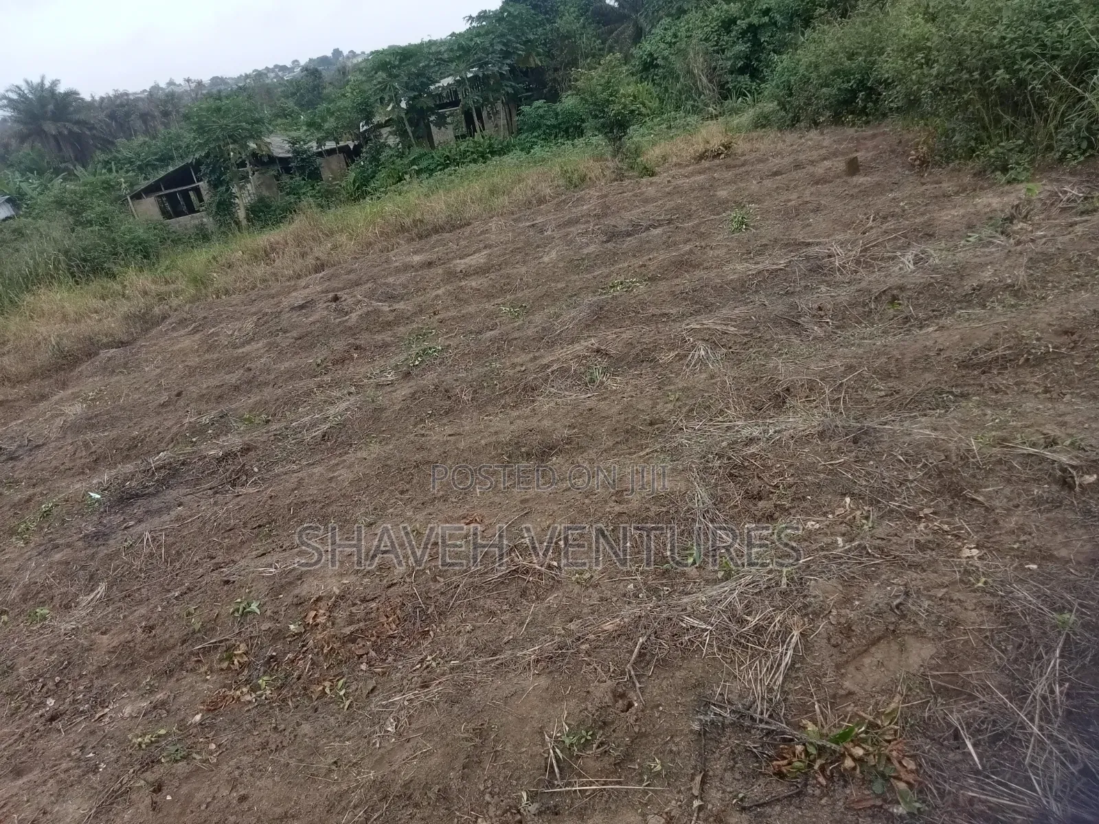3600sqm Land for Sale Arobieye