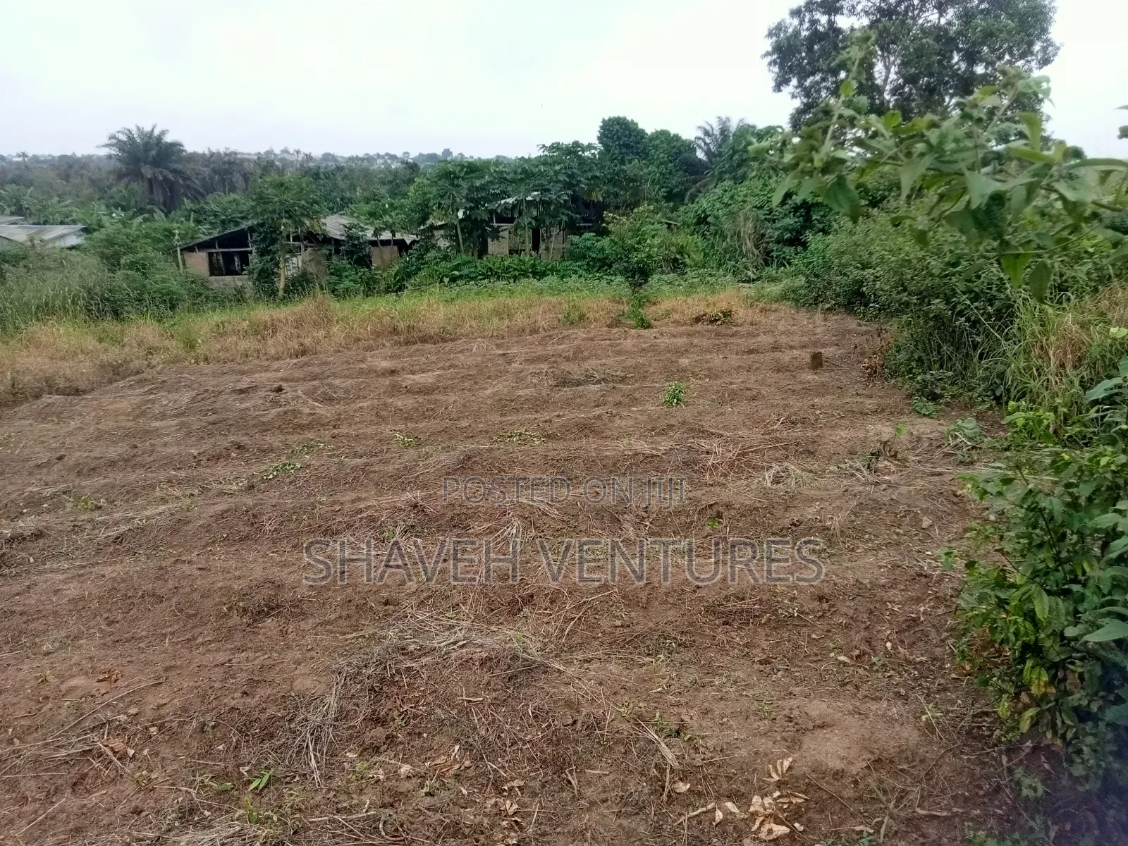 3600sqm Land for Sale Arobieye