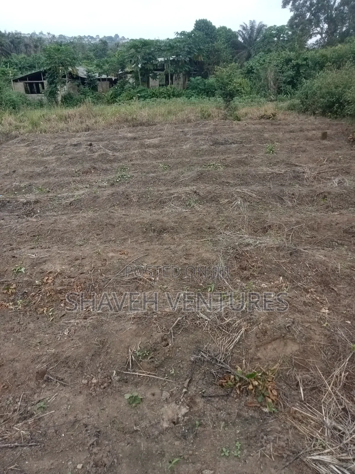 3600sqm Land for Sale Arobieye