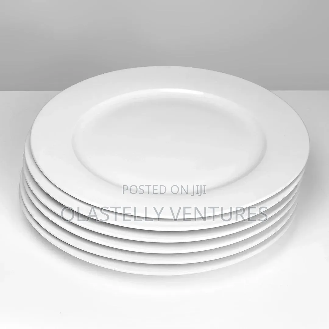 High Quality Ceramic Luxury Round 10inches Dinner Plate CTN of 36pcs H