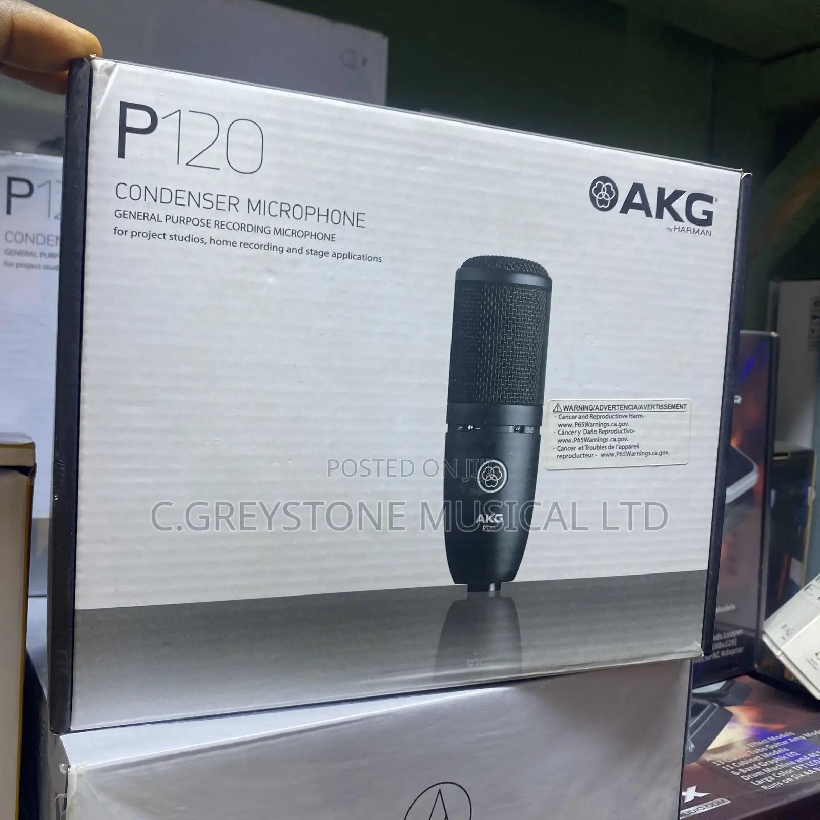 AKG Studio Mic P120