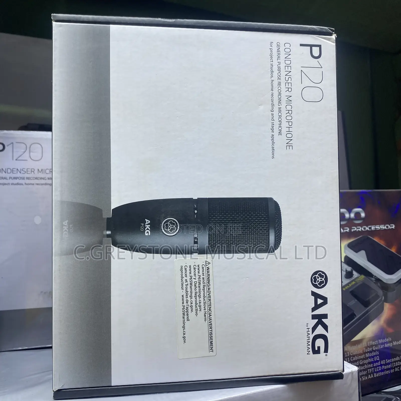 AKG Studio Mic P120