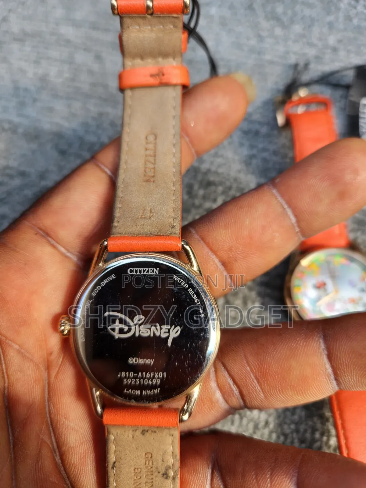 Citizens Eco Drive Minnie Mouse Gardening Women’s Watch