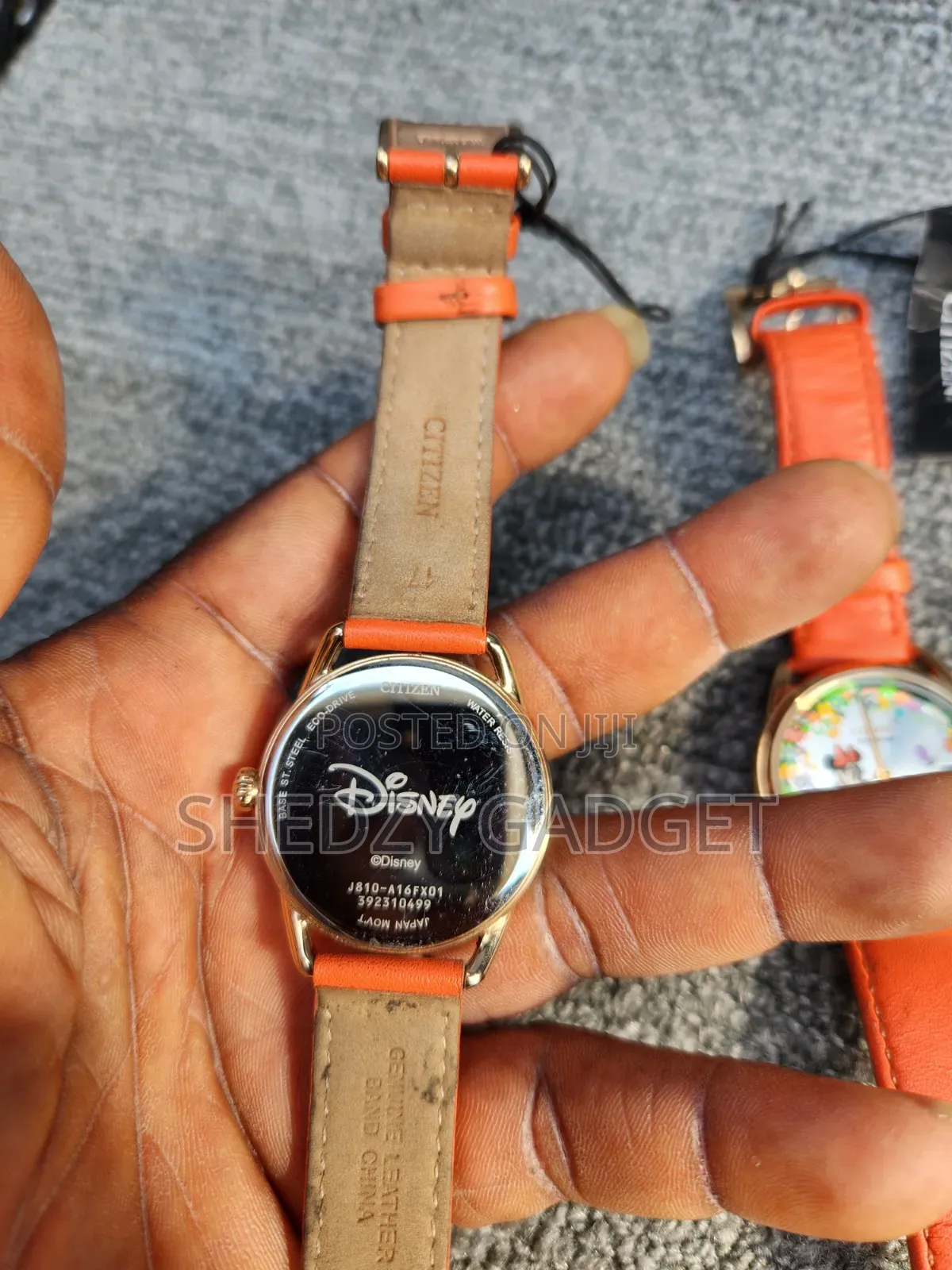 Citizens Eco Drive Minnie Mouse Gardening Women’s Watch